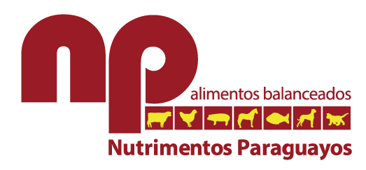 Brasipar Logo